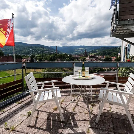 Hébergement de vacances Maison Bellevue Munster (Haut-Rhin)