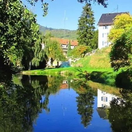 Hébergement de vacances Maison Bellevue Munster (Haut-Rhin)